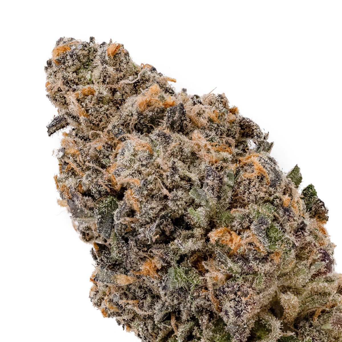 Forest green with bright green sprinkled across the bud, hints of purple with vibrant orang hairs covered in a coating of trichomes